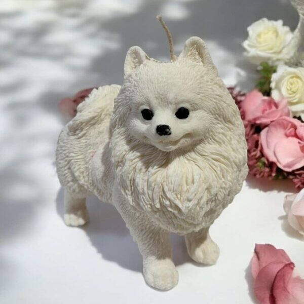 Pomeranian dog candle