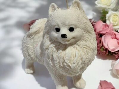 Pomeranian dog candle