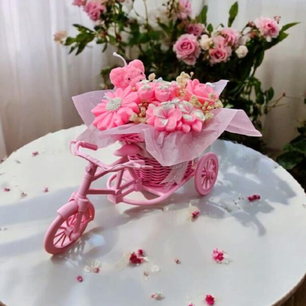 Pink bike